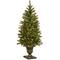 4 ft. Pre-Lit Potted Dunhill&#xAE; Fir Artificial Entrance Christmas Tree, Clear Lights